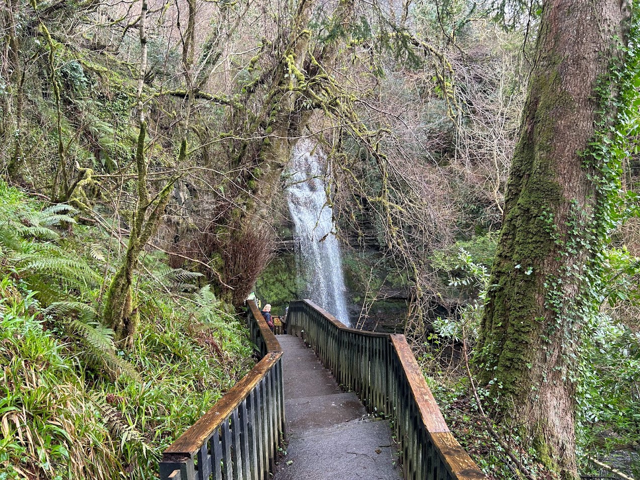wooden walkway during a hike leading to a waterfall