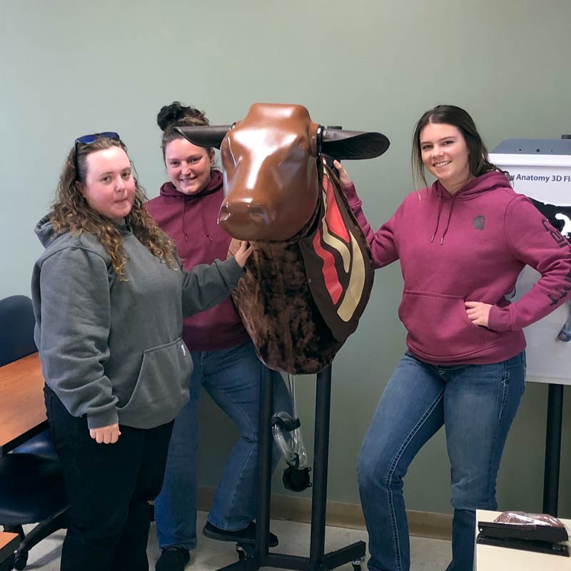 Students standing around a model of a horse